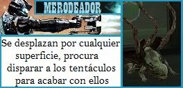 Imagen Enviada