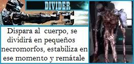 Imagen Enviada