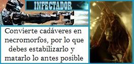 Imagen Enviada