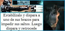Imagen Enviada