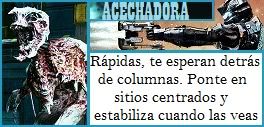 Imagen Enviada