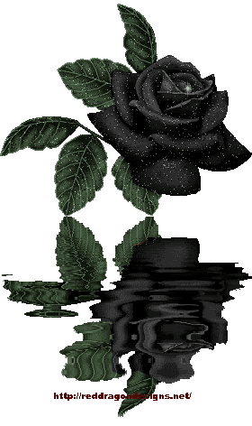 black rose photo: Black Rose Water Reflection blackroses4-1.gif