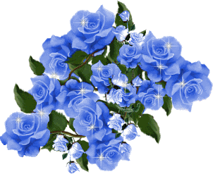 Blue Roses Pictures, Images and Photos