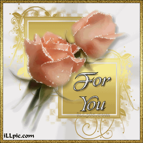 Peach Roses For You Pictures, Images and Photos