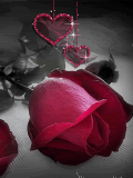 Pink Roses With Sparkle Hearts Pictures, Images and Photos
