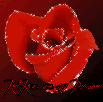 Red Roses Are My Passion Pictures, Images and Photos