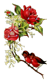 Red Roses With Little Red Birds Pictures, Images and Photos