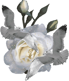 White Roses With White Doves