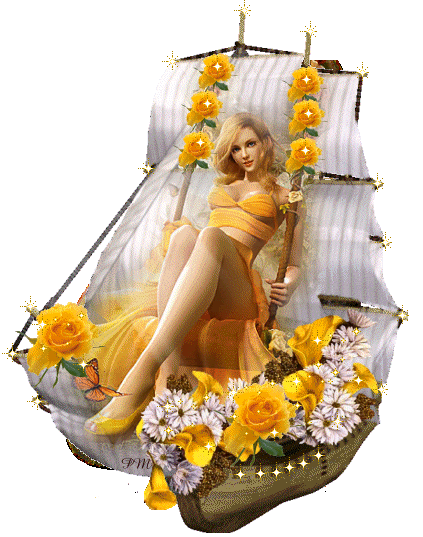Yellow Roses Perfect Beauty On A Sailboat