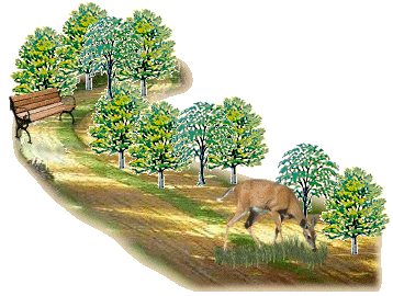 deer animation photo: In A Park deer14.gif