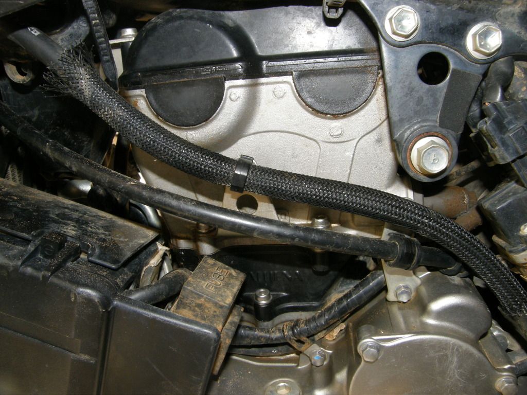 Athena Big Bore kit? Suzuki LTR450 Forum