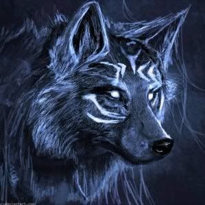 wildwolf13 Avatar