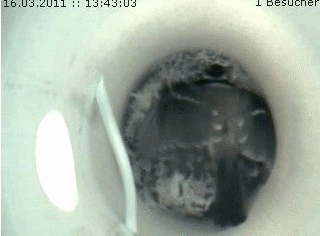 Benutzer&uuml;bermitteltes Bild